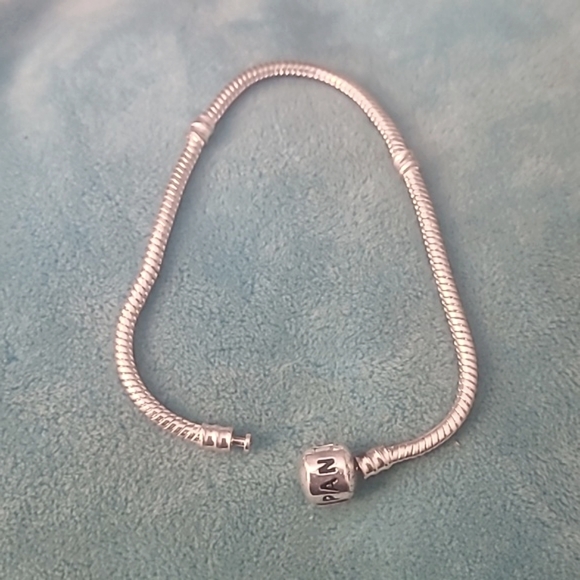 Pandora Charm Bracelet - Picture 1 of 8